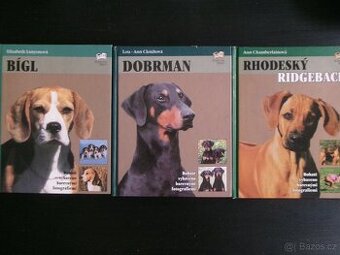 Kynologie - Bígl, Doberman, Rhodhéský ridgeback.
