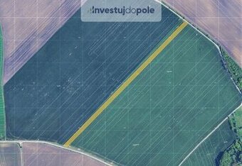 Prodej pole v k.ú. Nikolčice