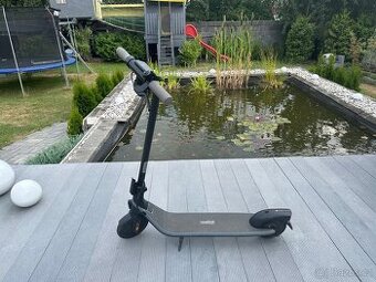 Ninebot KickScooter E2 E by Segway