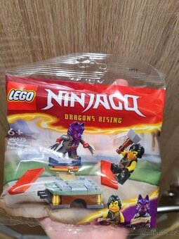 Lego 30675 Ninjago Dragons Rising
