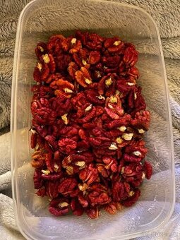 Vlašské ořechy červené loupané