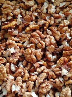 TOP - VLAŠSKÉ OŘECHY - VYLOUPANÉ - LETOŠNÍ - 2025.