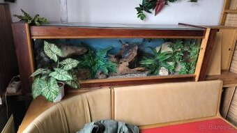 Prodám nábytek a terária