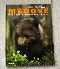 6/29-MÉDOVÉ -VÁCLAV CHALOUPEK ROK 2000