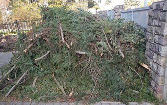 Poslední hromada větví po pokácení stromu