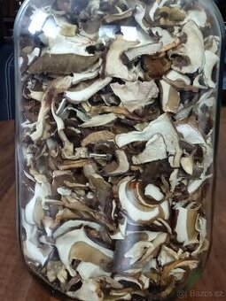 Sušené houby