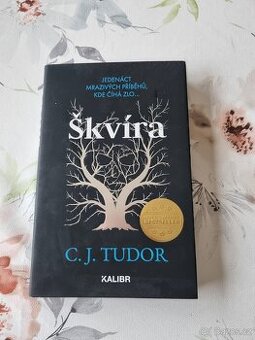 kniha: Škvíra C.J. Tudor. - 1