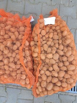 Sadbové brambory Belana