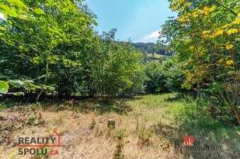 Prodej, pozemky/bydlení, 1161 m2, Hraničná, 46811 Janov nad 