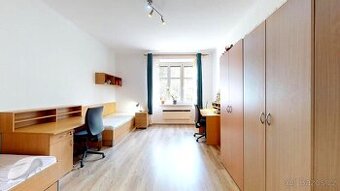 Pronájem pokoje, 23m2, sklep, balkon, Palackého třída, Brno - 1