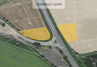 Prodej pole v k.ú. Dobruška