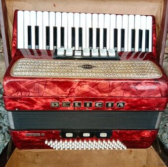 akordeon - Delicia