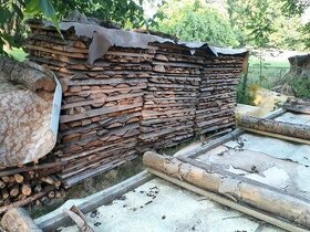 Krajinky, smrk, modřín