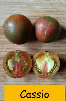 Semínka rajčata tyčkové - různé druhy