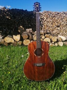 Elektroakustická kytara WASHBURN Woodline