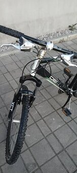 Dema Casida 26