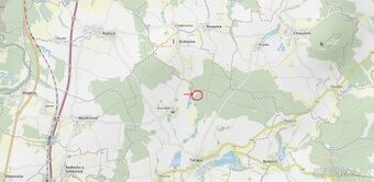 Prodám lesní pozemky v k. ú. Brandlín u Tučap Tučapy, okres