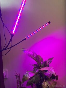 Lampa pro kytky