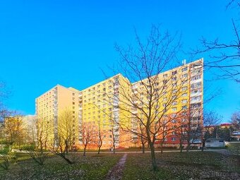 Prodej bytu 2+1, ul. Holešická,DV