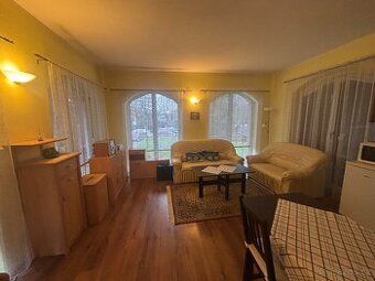 Pronájem bytu 1+kk v přízemí rodinného domu