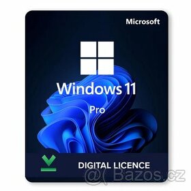Windows 11 Professional 32/64-bit