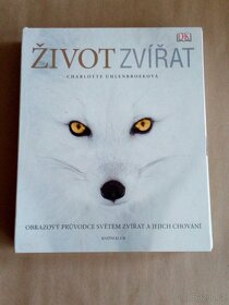 Charlotte Uhlenbroek - Život zvířat