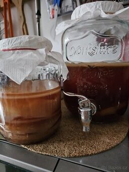 Kombucha se starterem - 1