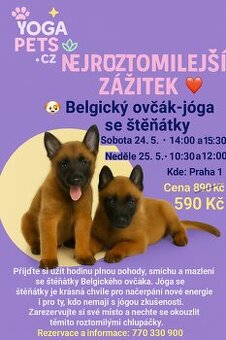 Uzasny zazitek, voucher, vstupenka, stenata