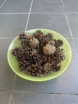 Borovicové šišky na dekorace