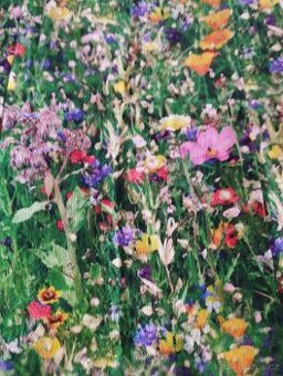 Šaty Desigual vel. M