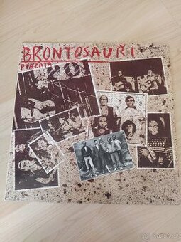 Prodám větší množství LP - domácí (seznam č.3.)