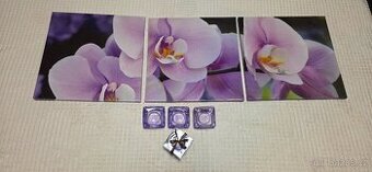 3 dílný obraz s orchidejí