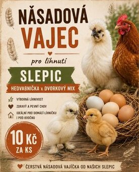 🐣 NÁSADOVÁ VAJÍČKA PRO LÍHNUTÍ 🐣