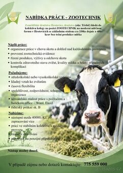 Nabídka práce - ošetřovatel skotu / zootechnik