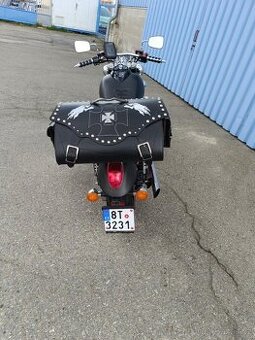 Kawasaki vn 1600 mean streak