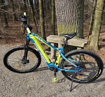 CRUSSIS e-Fionna 11.6 Velikost 19