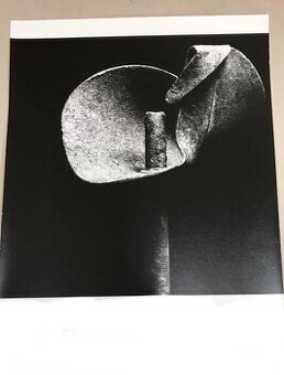 Umelecka fotografie Květ