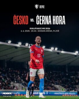 Vstupenky na ČESKO vs ČERNÁ HORA 6.6.2025