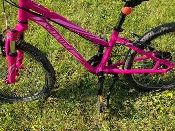 Specialized hot rock 20