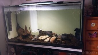 Vymenim 490l akvarium za menší