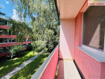 Pronájem bytu 2+1 Zborovská 55m2
