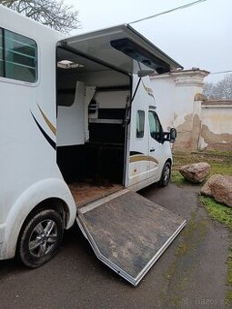 Nonstop přeprava koní