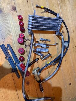 Dily na Ducati SS1000