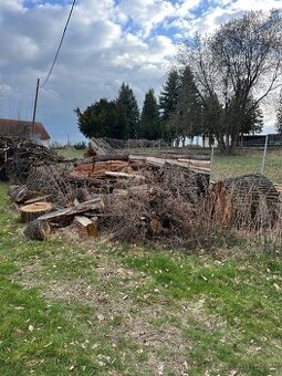 Prodám dřevo z dubu na topení