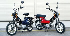 4Takt Honda Monkey-moped mpkorado,EUR05.. - 1