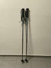 Lyžařské hůlky 100cm