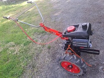 Dvoutaktní motor Tera vari - 1