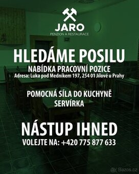 Pomocná síla číšník servírka