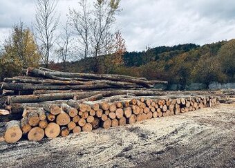 Palivové dřevo za seriózní ceny tvrdé suché