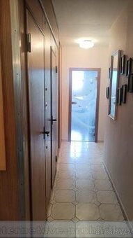 3+1 P3 Žižkov, ul. Hájkova DK00089W